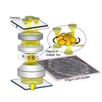 Freiburg Scientists Develop Concept for Feedback-Controlled Optical Tweezers