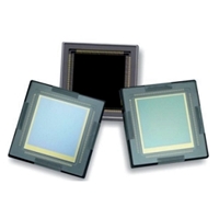 CMOS Image Sensor